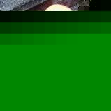 Profile Picture of Paul Kattner (@paul.kattner) on Myspace