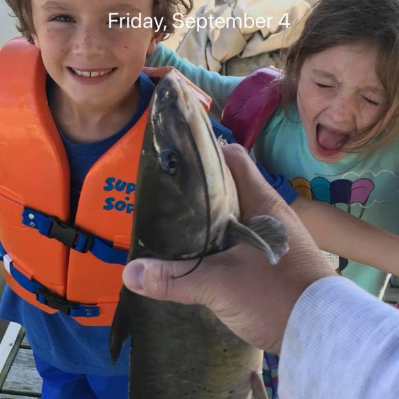 Profile Picture of Peter Goss (@petergoss) on Poshmark