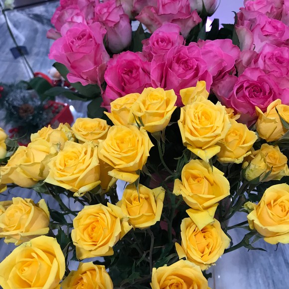 Profile Picture of Armineh Panosian (@amihami2) on Poshmark