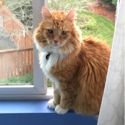 Profile Picture of Jack Joseph Vilardi (@JackJVilardi) on Twitter