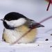 Profile Picture of John Branchcomb (@branchcomb1459) on Pinterest