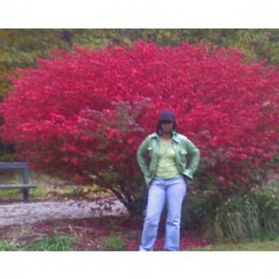 Profile Picture of Dr. Angela Isom (@DrAngelaIsom) on Twitter