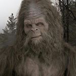 Profile Picture of Nicholas Ekstrom (@sanpsquantch) on Instagram