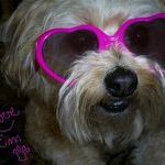 Profile Picture of Debbie Griffith (@krtmma) on Pinterest