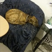 Kevin Matsuyuki Diesel Diesel - Quora Profile Picture of Kevin Matsuyuki Diesel Diesel (@kevin-matsuyuki-diesel-diesel) on Quora