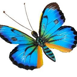 Profile Picture of Jackeline Orozco (@JackelineOroz13) on Twitter