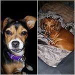 Profile Picture of Lisa (@lpikul84) on Instagram