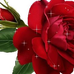 Profile Picture of Nico Correa Salazar (@nico.correasalazar) on Facebook