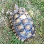 Profile Picture of Kris Dunaway-Costain (@kridunink) on Instagram