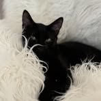 Profile Picture of Pamela T. Beckwith (@pamela.t.beckwith) on Facebook