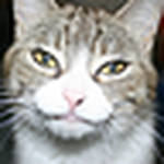 Profile Picture of Scott (@Alpha-Male65) on Flickr