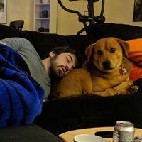 Profile Picture of Ryan Lederer (@lederer0233) on Pinterest