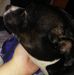 Profile Picture of Bryon Vandenakker (@bryon.vandenakker.98) on Facebook