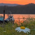 Profile Picture of Charlene Matthews (@Charlene-Matthews) on Facebook