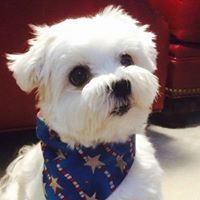 Profile Picture of Keith Armbruster (@kndarm) on Pinterest