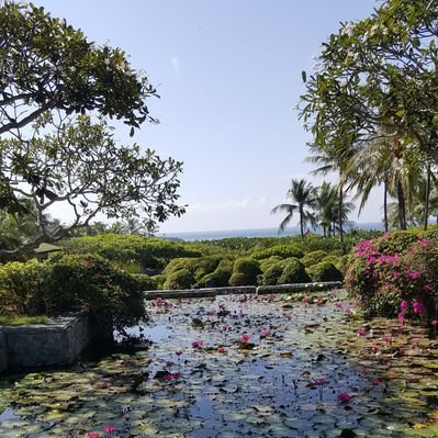 مساعد الدخيل - Twitter Profile Picture of مساعد الدخيل (@MasaadAl_Dakhel) on Twitter