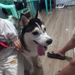 Erhuann Gerald Dugan - Facebook Profile Picture of Erhuann Gerald Dugan (@Erhuann-Gerald-Dugan) on Facebook