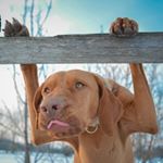 Profile Picture of Mezô Dávid Márk (@mezodavidmark) on Instagram