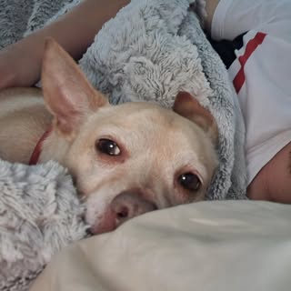 Profile Picture of Adam (@hai_adam) on Instagram