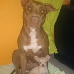 Profile Picture of Brian Bolaños (@brian.bolanos.127) on Instagram