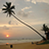 Profile Picture of Beachlife's (@Beachlife's) on Flickr