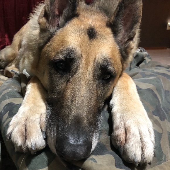 Profile Picture of Wahine Dakine (@lilwahine1994) on Poshmark