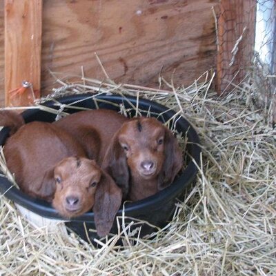 Profile Picture of Dan Severson (@DanSeversonAG) on Twitter