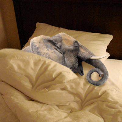 Profile Picture of David Rumbelow (@DavidRumbelow) on Twitter