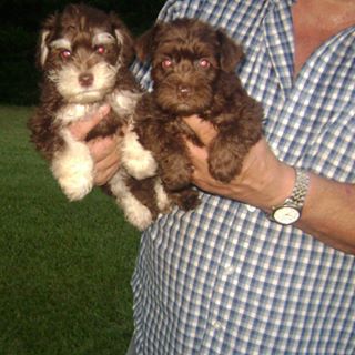 Profile Picture of James Foster (@James-Foster) on Facebook