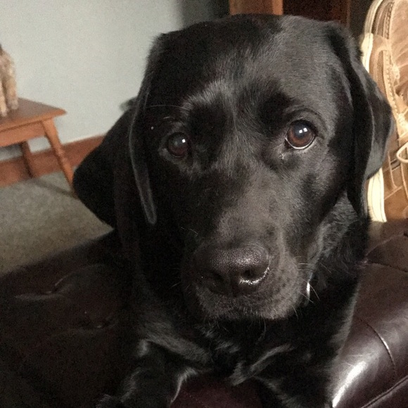 Profile Picture of Jackie Clifford (@jackiecliff) on Poshmark