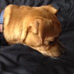 Profile Picture of Jacob.mefford (@unknown_1242) on Instagram