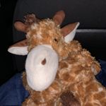 Profile Picture of Andrew Rowlett (@geffeory_the_girraffe_) on Instagram
