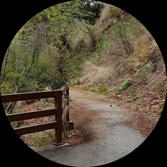 Profile Picture of Lacey Klein (@fragrantfiend89) on Poshmark