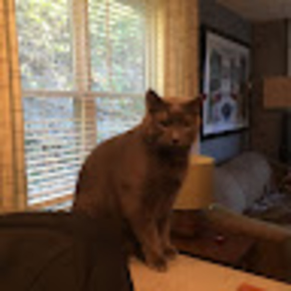 Profile Picture of Richard Hodge (@rickhodge19) on Poshmark