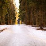 Profile Picture of Trina Boyd (@boydtrinakc3) on Instagram