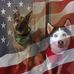 Profile Picture of Richard Jax (@Richard-Jax) on Facebook