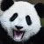 Profile Picture of Kevin San Juan (@kdsanjuan0336) on Pinterest