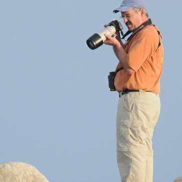 Profile Picture of Dave Irons (@BirdFellownews) on Twitter