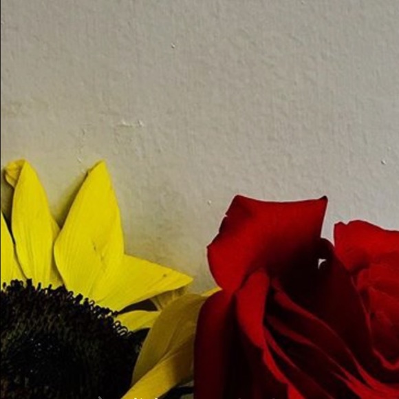 Profile Picture of Danielle Guy (@dannigee_) on Poshmark