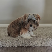 Profile Picture of Nicholas Avila (@nicholasavila2935) on Youtube