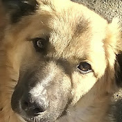 Profile Picture of Andreea Preda (@andreeapreda8003) on Youtube