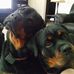 Profile Picture of Debbie Forrest (@debbie.forrest.71868) on Facebook