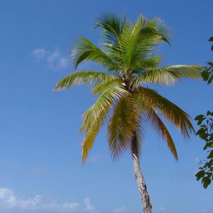 Profile Picture of sherman_pool_and_spa (@sherman_pool_and_spa) on Tiktok