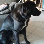 Profile Picture of Alex Haagedoorn (@alex.haagedoorn) on Instagram