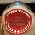 Profile Picture of David Towle (@coldavidwtowle) on Instagram
