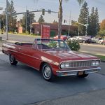 Shawn Osier - Instagram Profile Picture of Shawn Osier (@hoopdreams8600) on Instagram