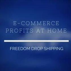 Profile Picture of Brian Leedom (@FreedomDropShip) on Twitter