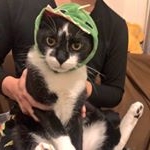 Profile Picture of YUSUKE.NAKANO (@marines_.y) on Instagram