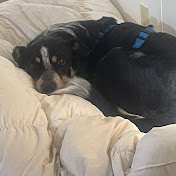 Profile Picture of Andrew Gregory (@andrewgregory8859) on Youtube