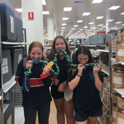 Abbey Hales - Twitter Profile Picture of Abbey Hales (@halesabbey) on Twitter